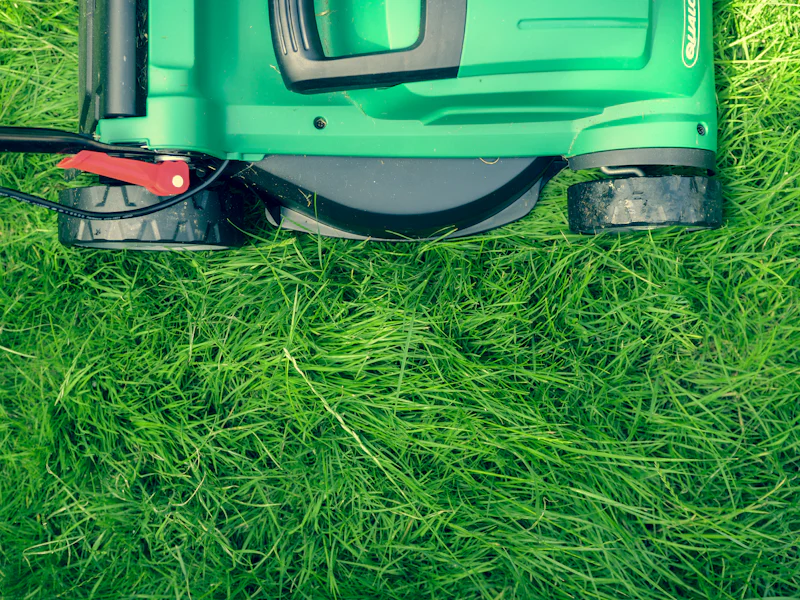 A green push mower seen from above on thick grass